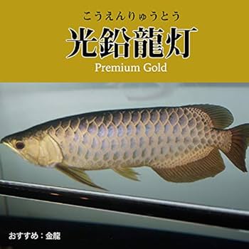 アロワナライト　1800 デンライ 楽天市場】アロワナ ライト スーパーレッド 紅龍 水中 レッド
